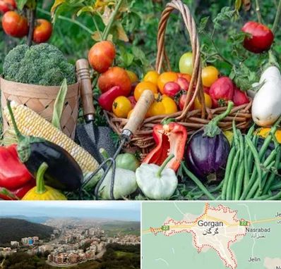 فروشگاه لوازم کشاورزی در گرگان