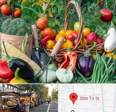 فروشگاه لوازم کشاورزی در سی تیر