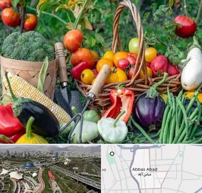 فروشگاه لوازم کشاورزی در عباس آباد تهران