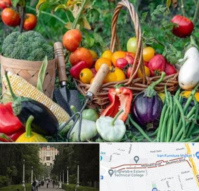 فروشگاه لوازم کشاورزی در بلوار معلم رشت 