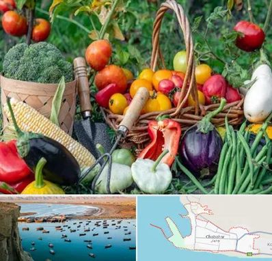 فروشگاه لوازم کشاورزی در چابهار