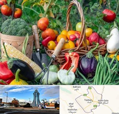 فروشگاه لوازم کشاورزی در تایباد