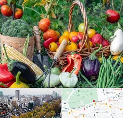 فروشگاه لوازم کشاورزی در بلوار کشاورز 