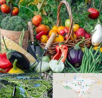 فروشگاه لوازم کشاورزی در بجنورد