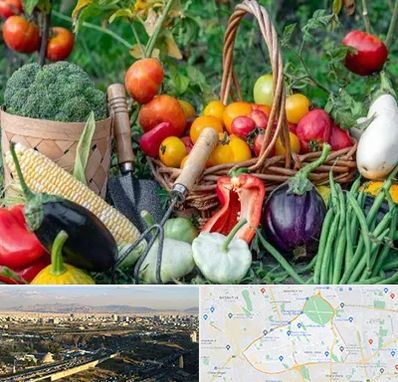 فروشگاه لوازم کشاورزی در منطقه 19 تهران 