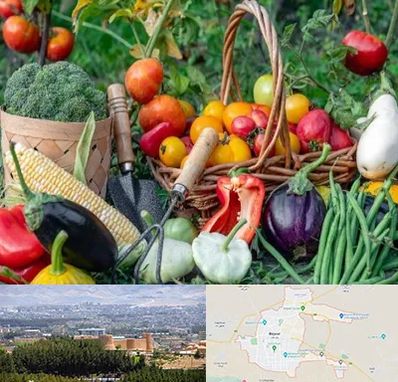 فروشگاه لوازم کشاورزی در بیرجند