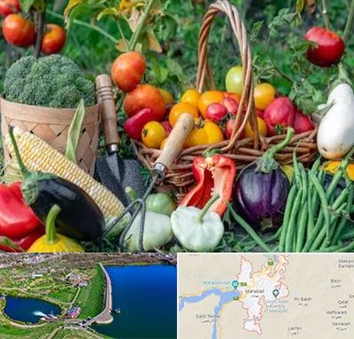 فروشگاه لوازم کشاورزی در مهاباد