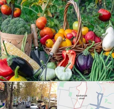 فروشگاه لوازم کشاورزی در کاشانک