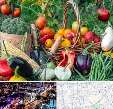 فروشگاه لوازم کشاورزی در منظریه رشت 