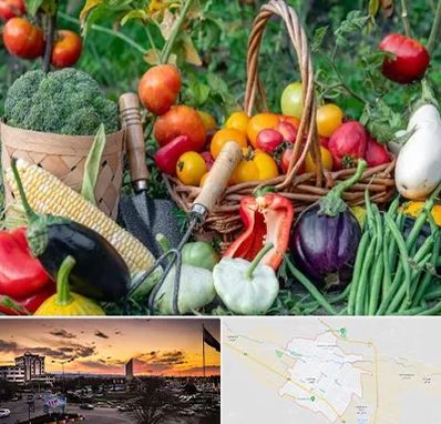 فروشگاه لوازم کشاورزی در قوچان