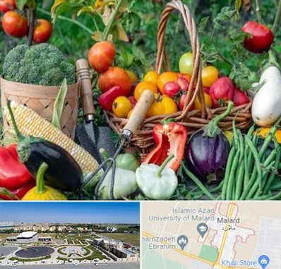 فروشگاه لوازم کشاورزی در ملارد