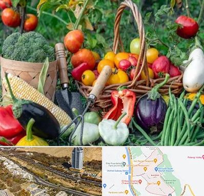 فروشگاه لوازم کشاورزی در خیابان نیایش شیراز 