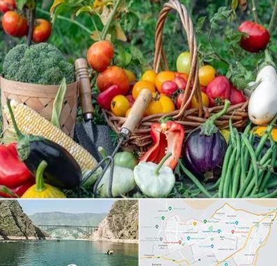 فروشگاه لوازم کشاورزی در ایلام