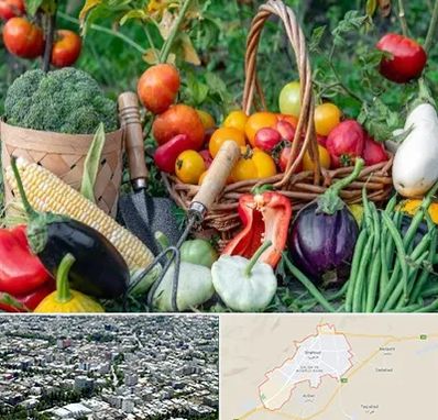 فروشگاه لوازم کشاورزی در شاهرود