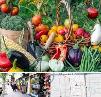 فروشگاه لوازم کشاورزی در سلسبیل