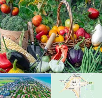 فروشگاه لوازم کشاورزی در ساری