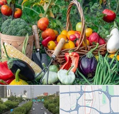 فروشگاه لوازم کشاورزی در توانیر