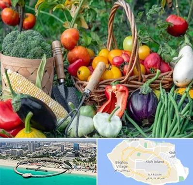 فروشگاه لوازم کشاورزی در کیش