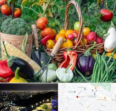 فروشگاه لوازم کشاورزی در هفت تیر مشهد 