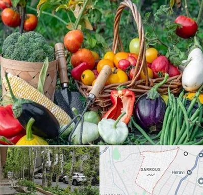 فروشگاه لوازم کشاورزی در دروس