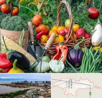 فروشگاه لوازم کشاورزی در بندر ترکمن