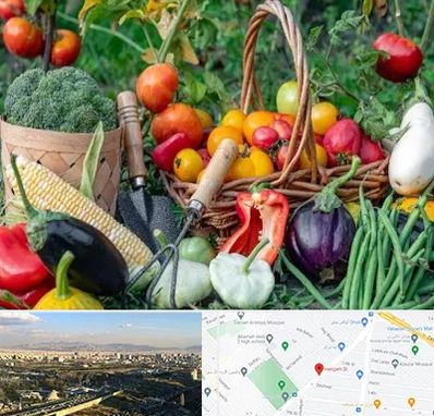 فروشگاه لوازم کشاورزی در هنگام 