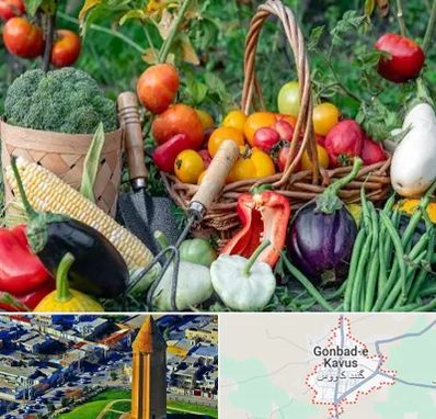 فروشگاه لوازم کشاورزی در گنبد کاووس