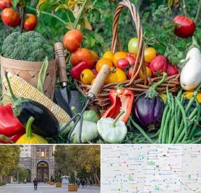 فروشگاه لوازم کشاورزی در منطقه 12 تهران 