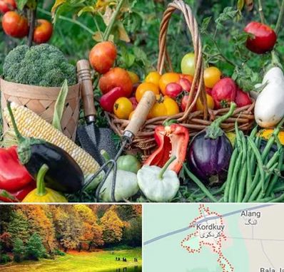 فروشگاه لوازم کشاورزی در کردکوی