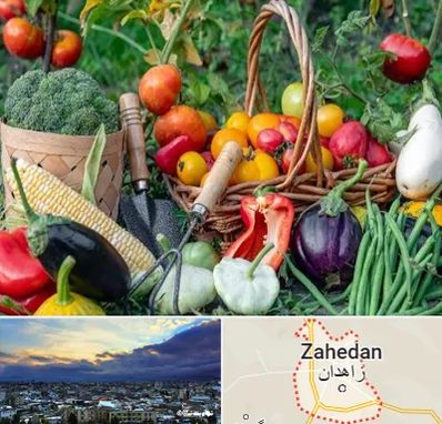 فروشگاه لوازم کشاورزی در زاهدان