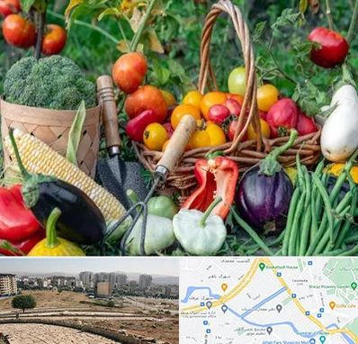 فروشگاه لوازم کشاورزی در کوی وحدت شیراز 