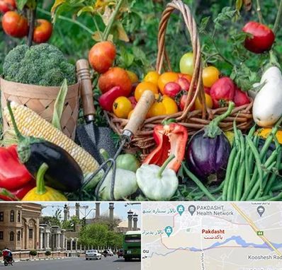 فروشگاه لوازم کشاورزی در پاکدشت