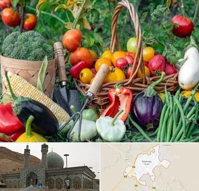 فروشگاه لوازم کشاورزی در شهرضا