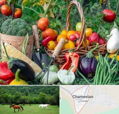 فروشگاه لوازم کشاورزی در چمستان