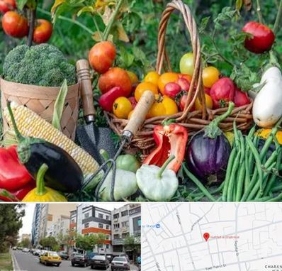 فروشگاه لوازم کشاورزی در هفده شهریور تبریز