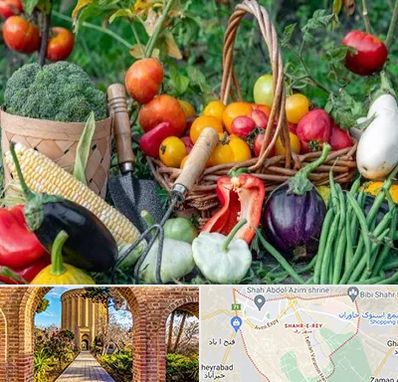 فروشگاه لوازم کشاورزی در شهر ری