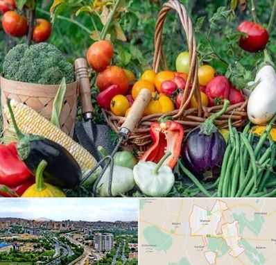 فروشگاه لوازم کشاورزی در شهریار