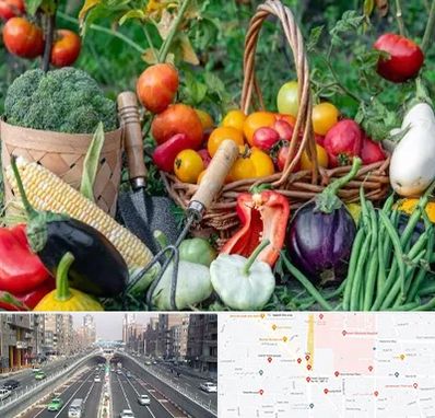 فروشگاه لوازم کشاورزی در توحید 