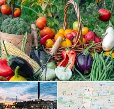 فروشگاه لوازم کشاورزی در منطقه 2 تهران 