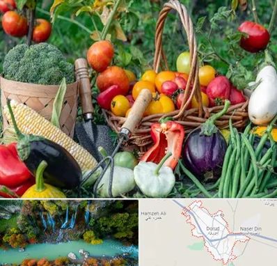 فروشگاه لوازم کشاورزی در دورود