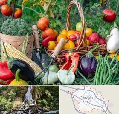 فروشگاه لوازم کشاورزی در الیگودرز