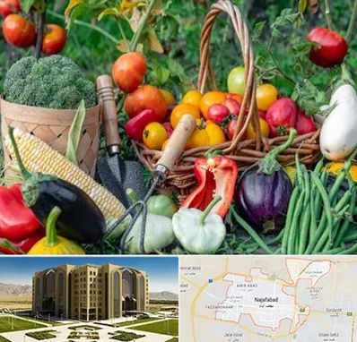 فروشگاه لوازم کشاورزی در نجف آباد