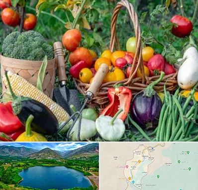 فروشگاه لوازم کشاورزی در رودبار