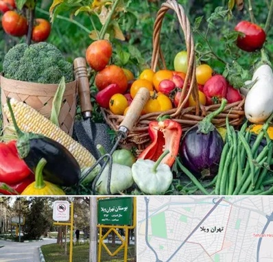 فروشگاه لوازم کشاورزی در تهران ویلا