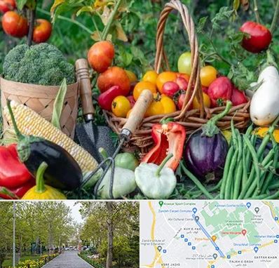 فروشگاه لوازم کشاورزی در قدوسی غربی شیراز 