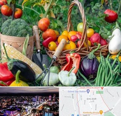 فروشگاه لوازم کشاورزی در گلسار رشت 