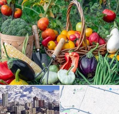 فروشگاه لوازم کشاورزی در ازگل