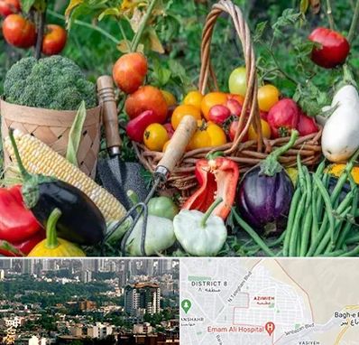 فروشگاه لوازم کشاورزی در عظیمیه کرج 