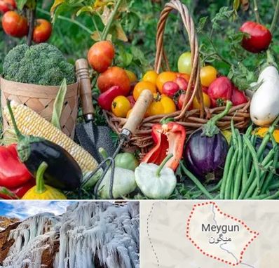 فروشگاه لوازم کشاورزی در میگون