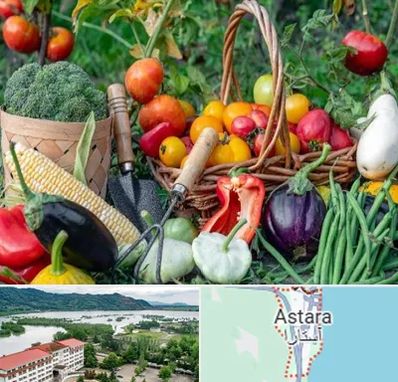 فروشگاه لوازم کشاورزی در آستارا